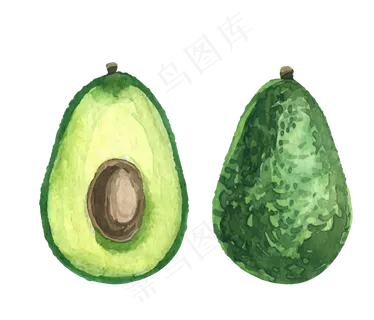 矢量卡通手绘牛油果素材