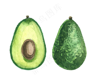 矢量卡通手绘牛油果素材