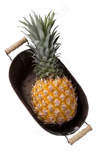 菠萝营养酸甜新鲜水果