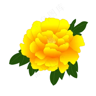 手绘牡丹金色牡丹可商用元素,免抠元素