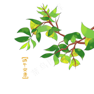 端午节安康植物