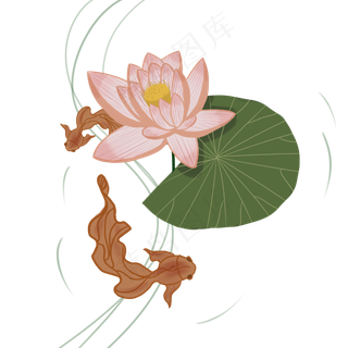 春夏日式风格荷花荷叶金鱼PNG