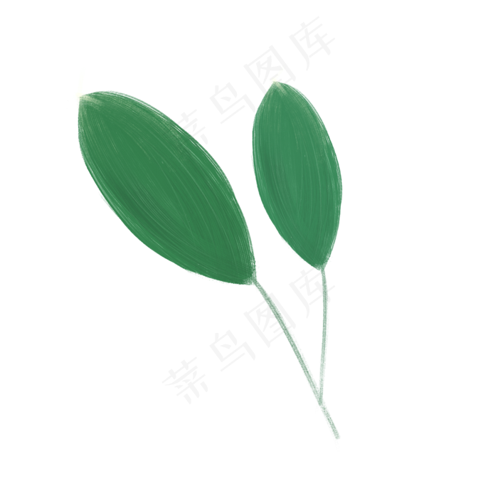 春天绿色植物大叶子(2000X2000(DPI:300))psd模版下载