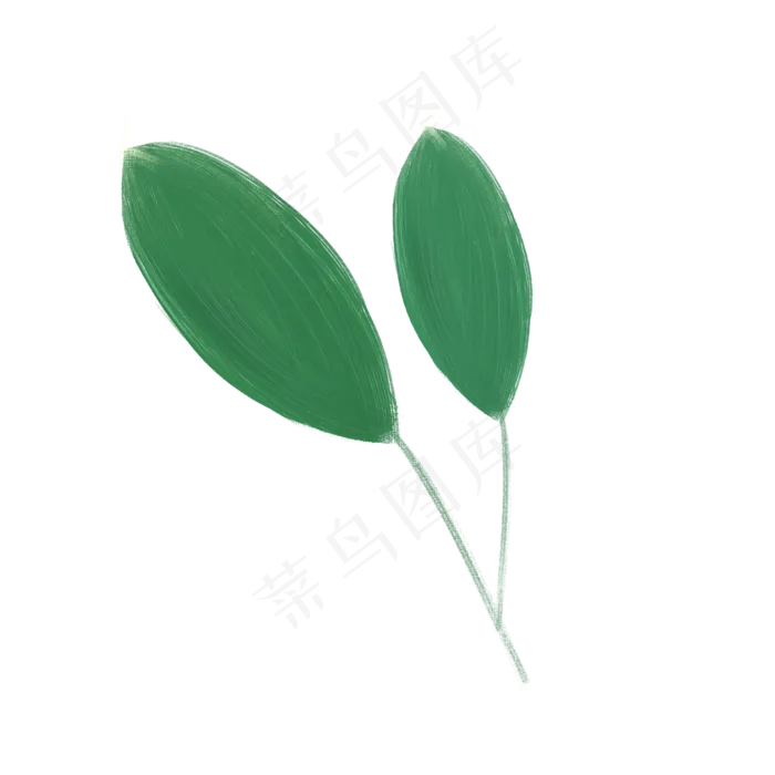 春天绿色植物大叶子(2000X2000(DPI:300))psd模版下载