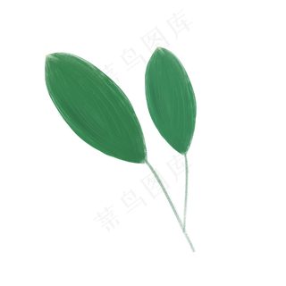 春天绿色植物大叶子