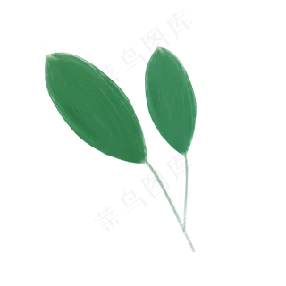 春天绿色植物大叶子