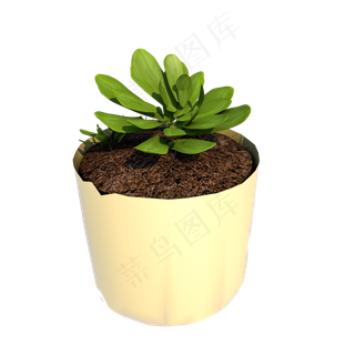 3D仿真实物多肉植物,免抠元素