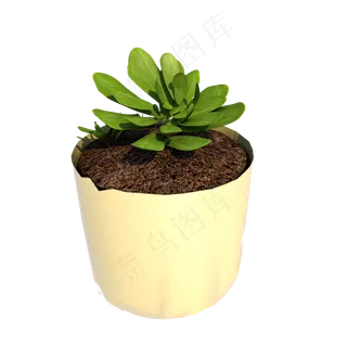 3D仿真实物多肉植物,免抠元素