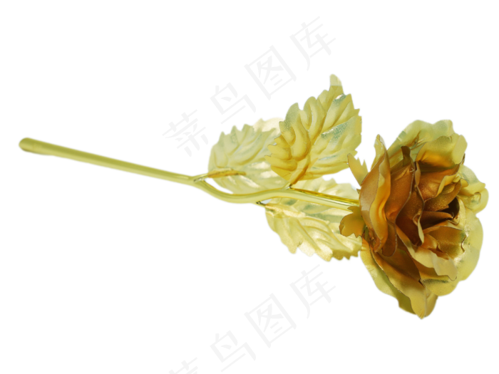 情人节金玫瑰(4000*3000px 300 dpi )