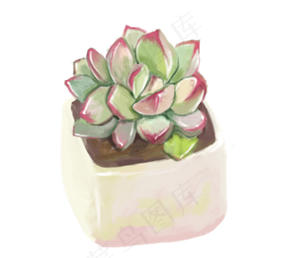 小清新多肉植物彩色绿色植物盆栽,免抠元素