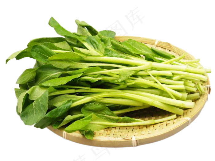 绿色蔬菜小油菜