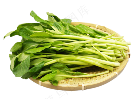 绿色蔬菜小油菜