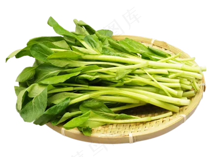 绿色蔬菜小油菜 绿色蔬菜小油菜