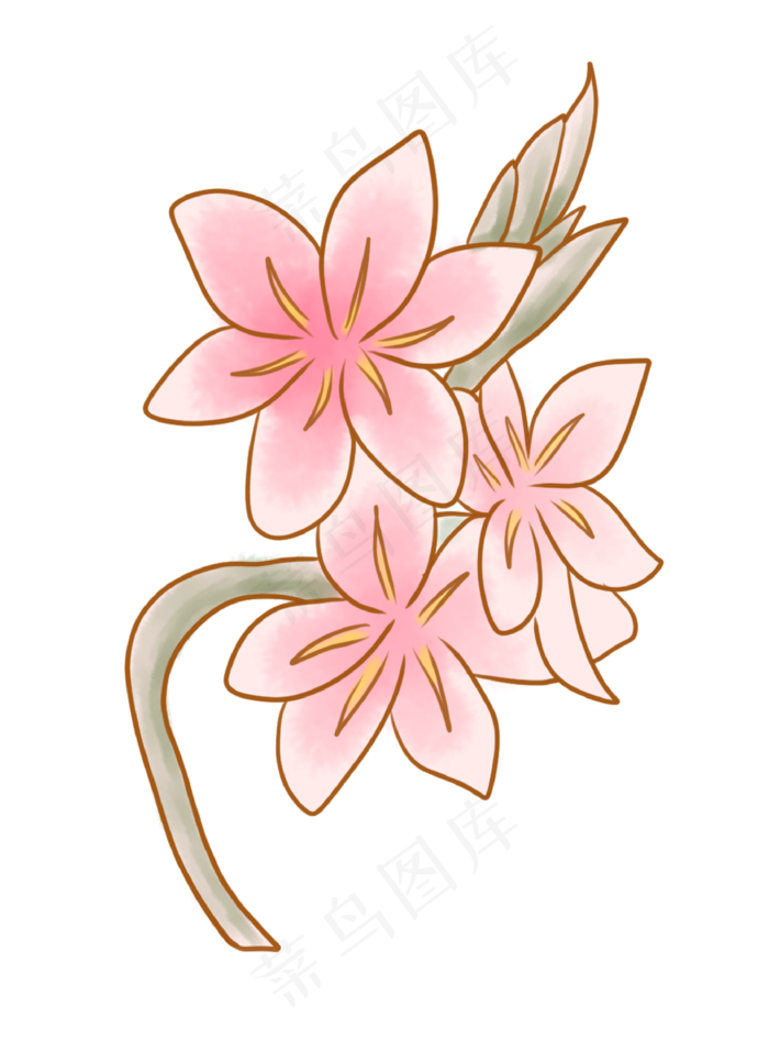 粉色花枝花开插画