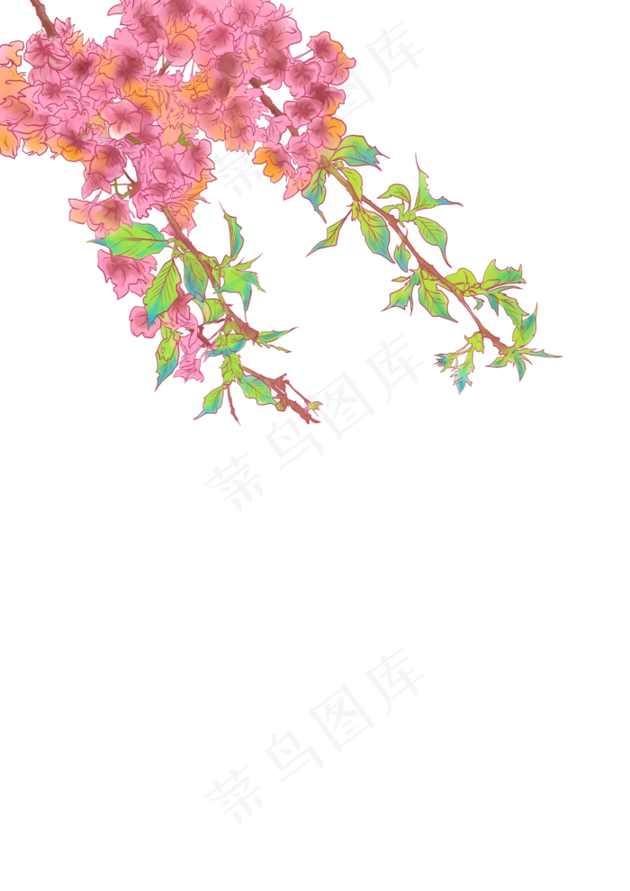 春分海棠免扣元素,免抠元素(4961X7016(DPI:300))psd模版下载