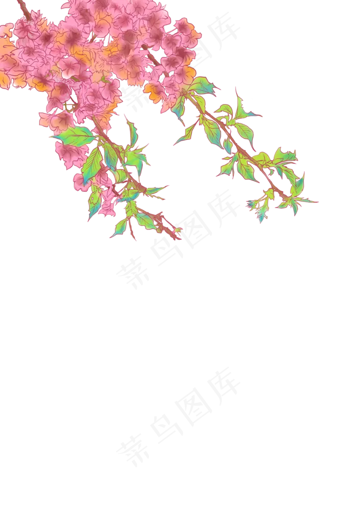 春分海棠免扣元素,免抠元素(4961X7016(DPI:300))psd模版下载