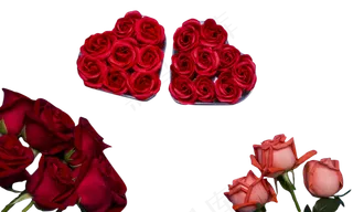 心形玫瑰花束