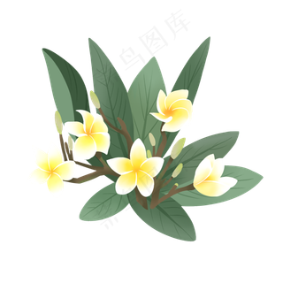 手绘鲜花装饰素材鸡蛋花蛋黄花