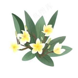 手绘鲜花装饰素材鸡蛋花蛋黄花