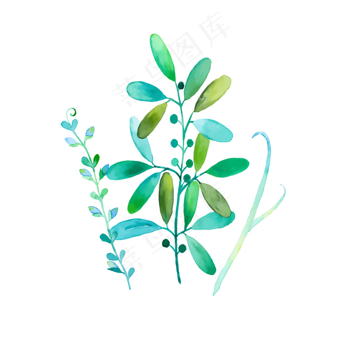 手绘水彩植物花草,免抠元素