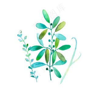 手绘水彩植物花草,免抠元素