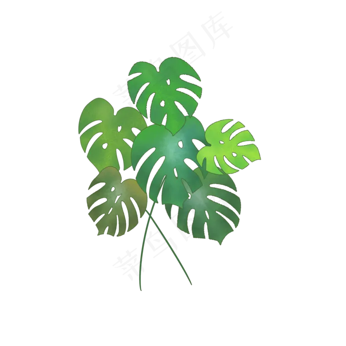 手绘绿色龟背竹叶子(2000X2000(DPI:300))psd模版下载