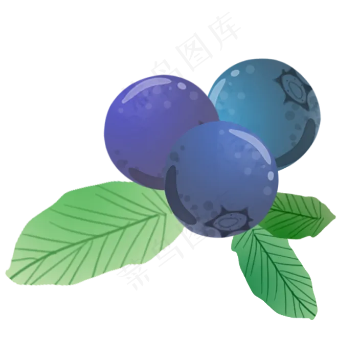 紫色营养蓝莓(700X700(DPI:72))psd模版下载