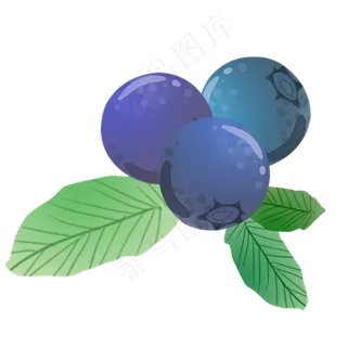 紫色营养蓝莓