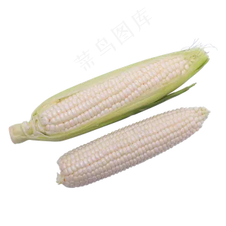 白色水果玉米