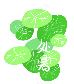 处暑节气绿色荷叶