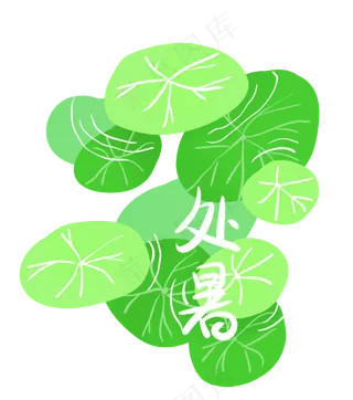 处暑节气绿色荷叶