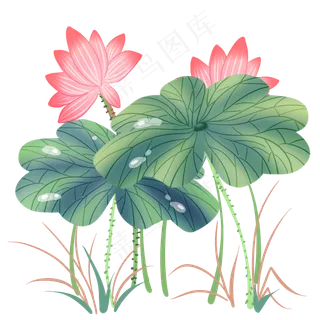 中国风小清新荷花荷叶