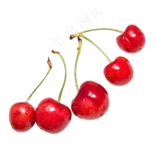 红色水果樱桃
