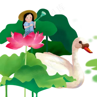 荷花天鹅女孩