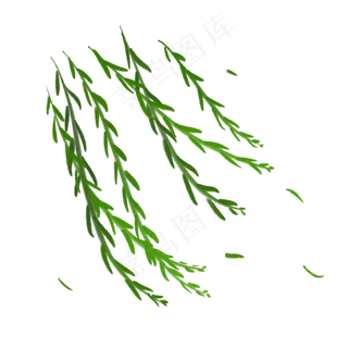 春分绿色小清新微风拂动柳树柳枝,免抠元素