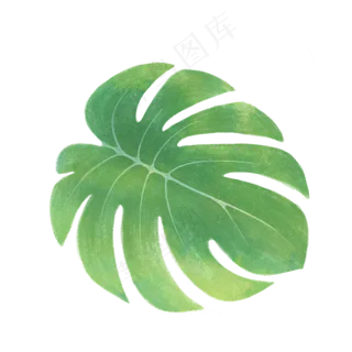手绘大自然树叶绿色植物叶子,免抠元素