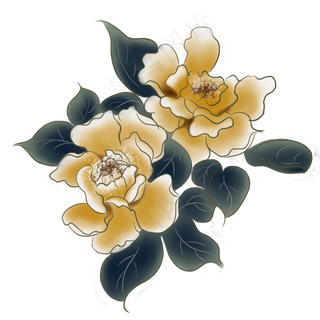 中国风杏色工笔手绘装饰花叶