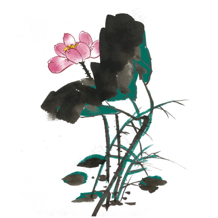 夏季荷花荷叶手绘插画