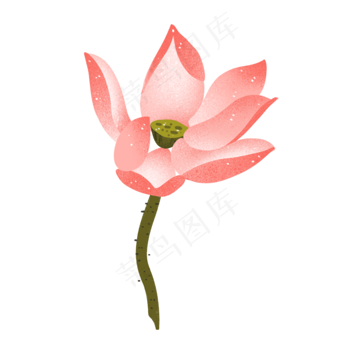 一朵粉色荷花插图(3000X3000(DPI:300))psd模版下载
