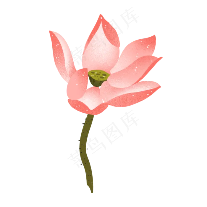 一朵粉色荷花插图(3000X3000(DPI:300))psd模版下载