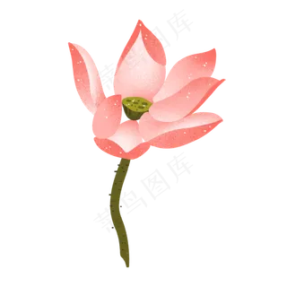 一朵粉色荷花插图