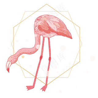 简约创意唯美手绘火烈鸟元素,免抠元素