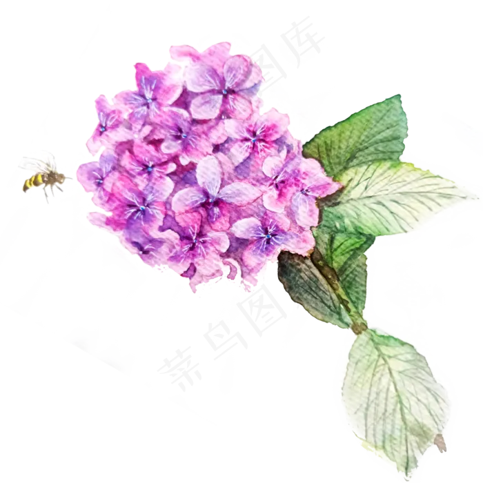 紫色绣球花PNG唯美装饰花团(3000X3000(DPI:300))psd模版下载