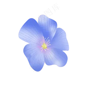 亚麻籽花
