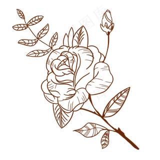 手绘线条玫瑰