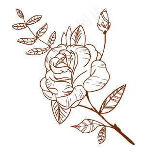 手绘线条玫瑰