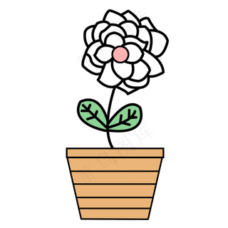 简笔画白玫瑰盆栽免抠图