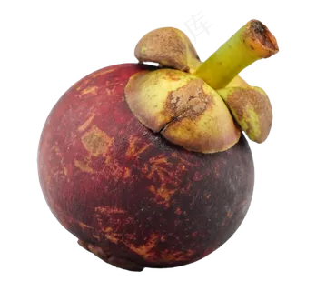 水果山竹 水果山竹