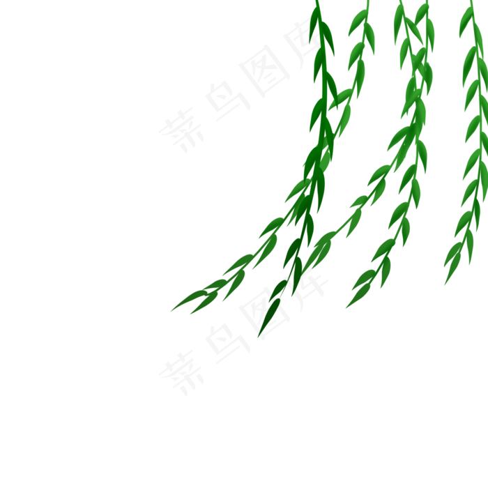 春季清明节装饰柳枝图案