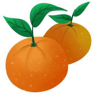 桔子味道水果植物种植橘色生长